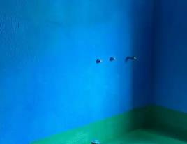 紫金卫生间测漏水多少钱